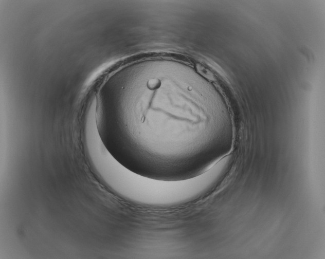 X0000113311310200910131059