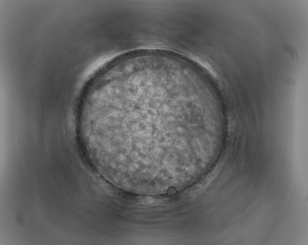 X0000113311311200910131059