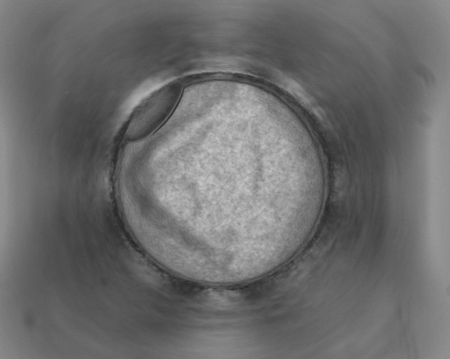 X0000113311312200910131059