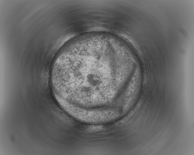 X0000113311313200910131059