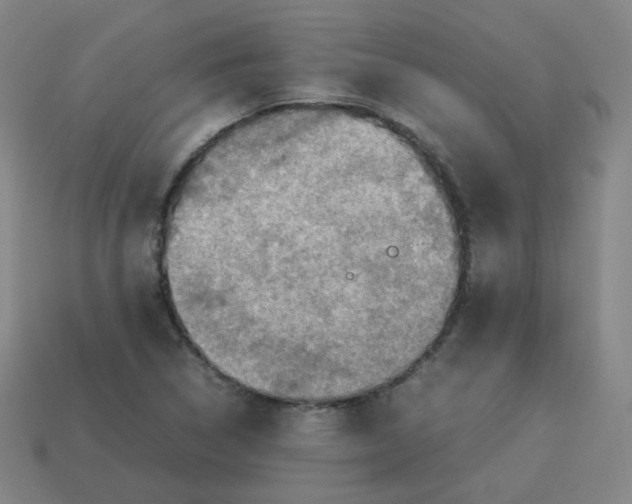 X0000113311314200910131059