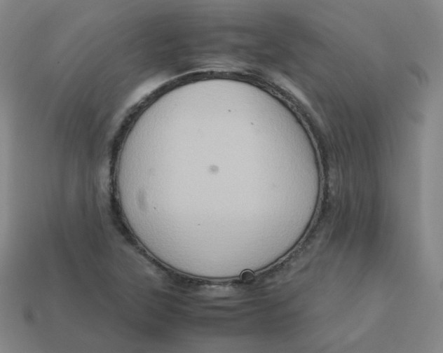 X0000113311315200910131059