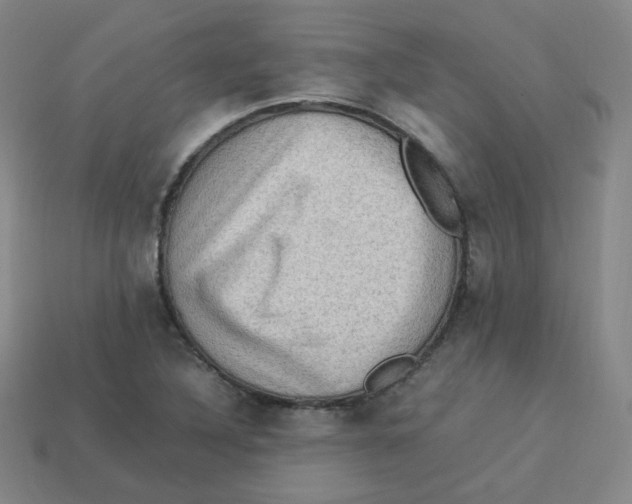 X0000113311316200910131059