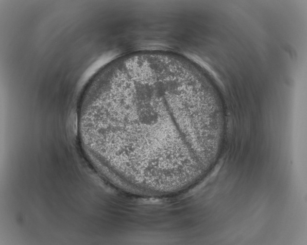 X0000113311317200910131059