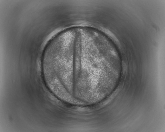 X0000113311318200910131059