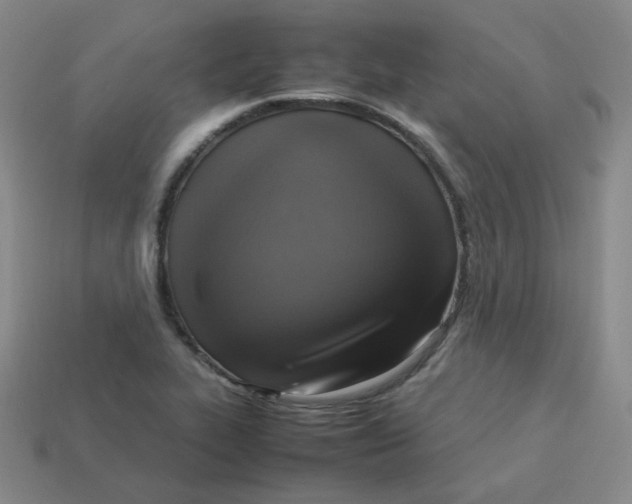 X0000113311319200910131059