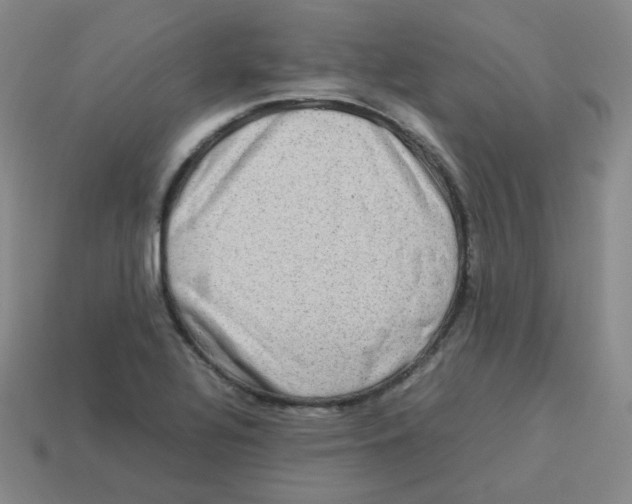 X0000113311320200910131059