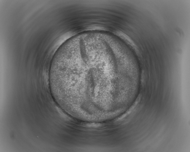 X0000113311321200910131059