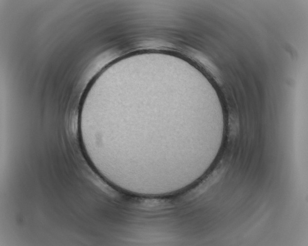 X0000113311322200910131059