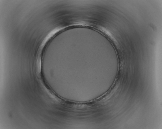 X0000113311323200910131059