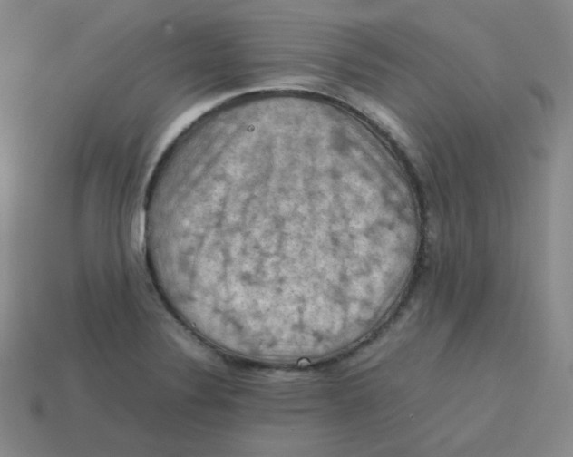 X0000113311324200910131059