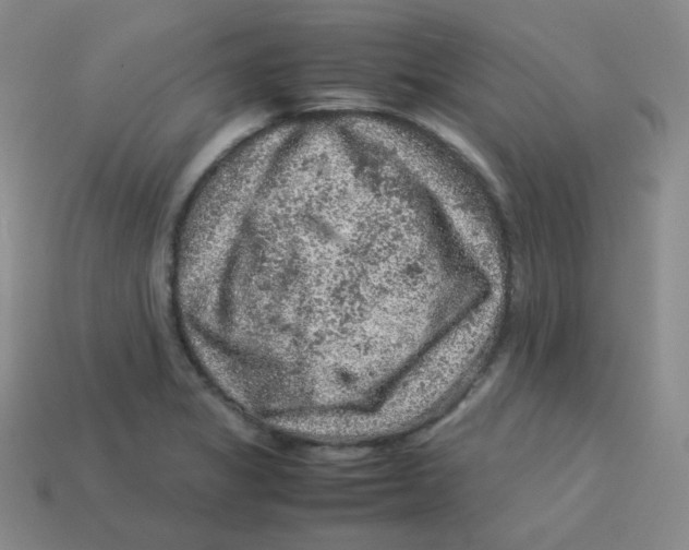 X0000113311325200910131059