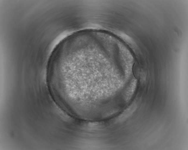 X0000113311326200910131059