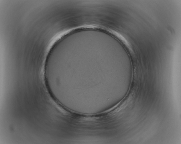 X0000113311327200910131059