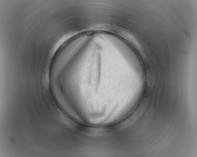 X0000113311328200910131059