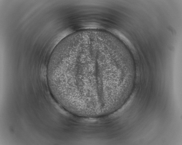 X0000113311329200910131100