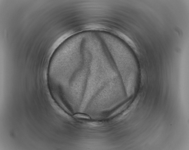 X0000113311330200910131100