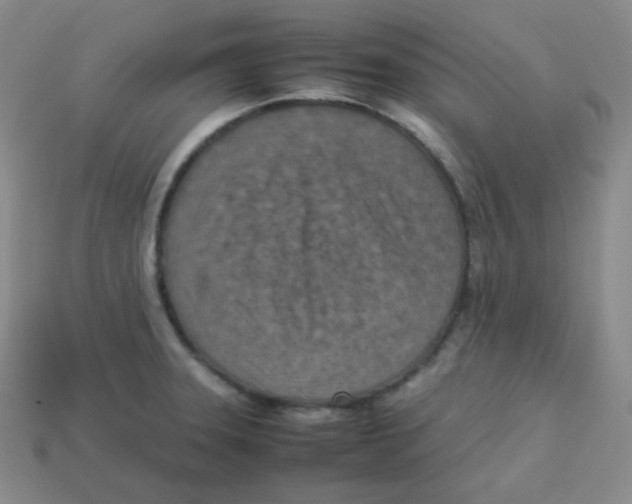 X0000113311331200910131100