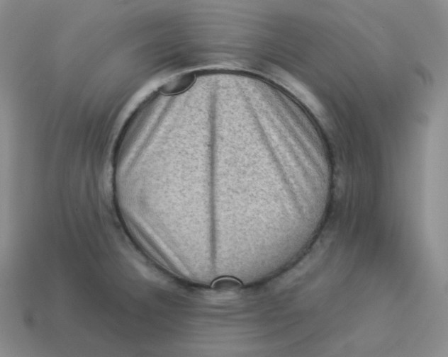 X0000113311332200910131100