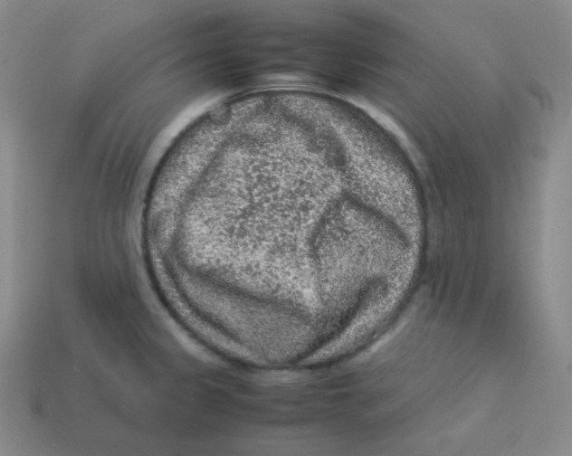 X0000113311333200910131100