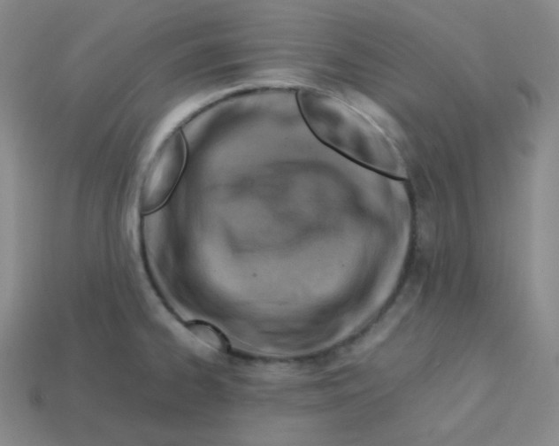 X0000113311334200910131100