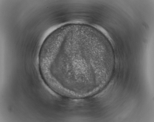 X0000113311335200910131100