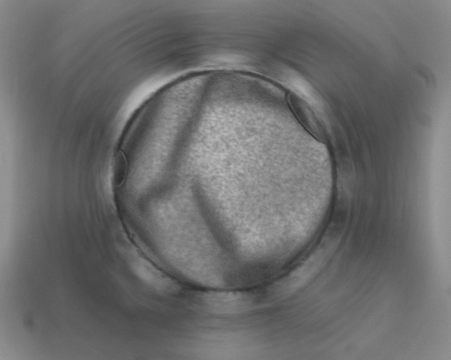 X0000113311336200910131100