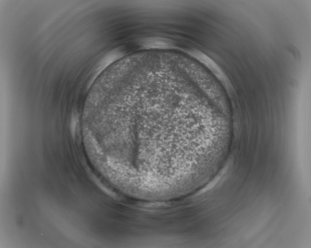 X0000113311337200910131100