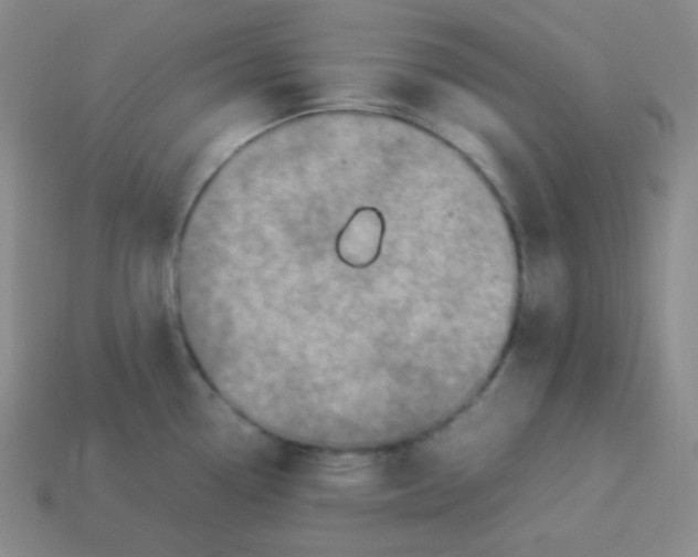 X0000113311338200910131100