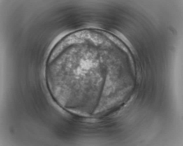 X0000113311339200910131100