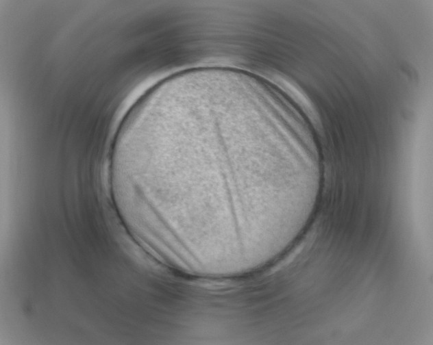 X0000113311340200910131100