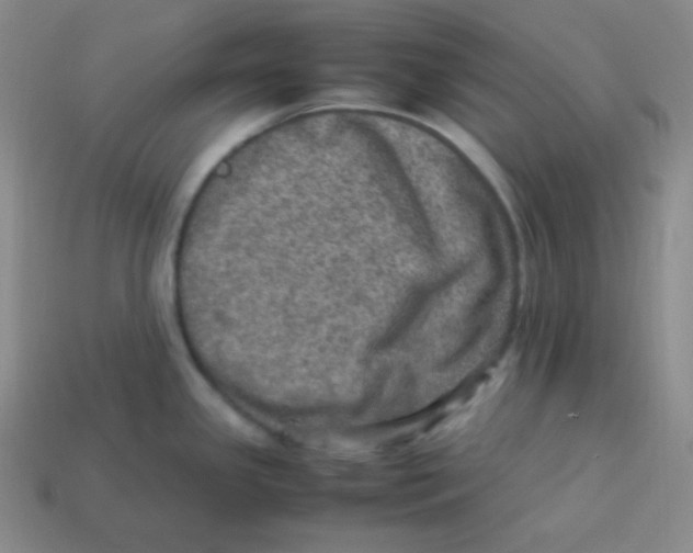 X0000113311341200910131100