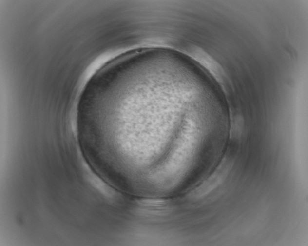 X0000113311342200910131100