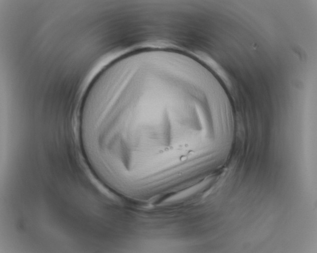 X0000113311343200910131100