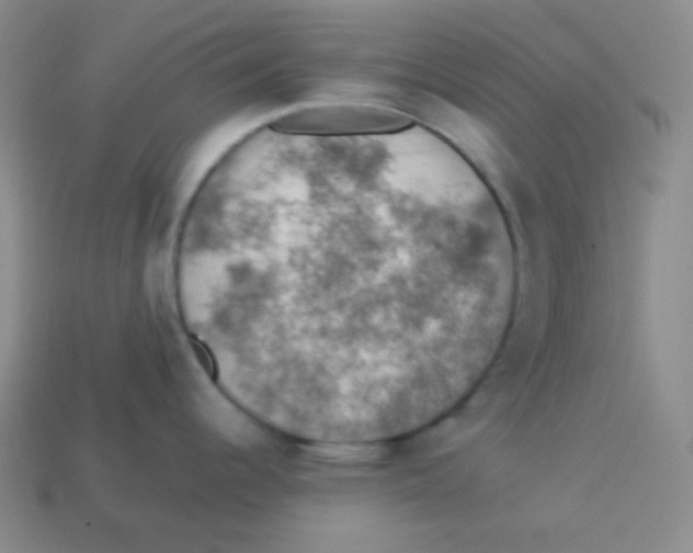 X0000113311344200910131100