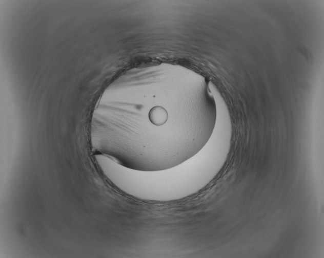 X0000113311345200910131059