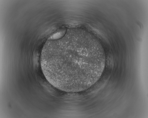 X0000113311346200910131059