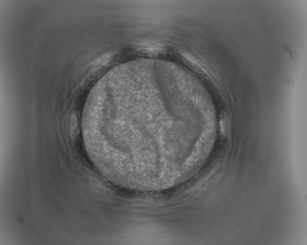 X0000113311347200910131059