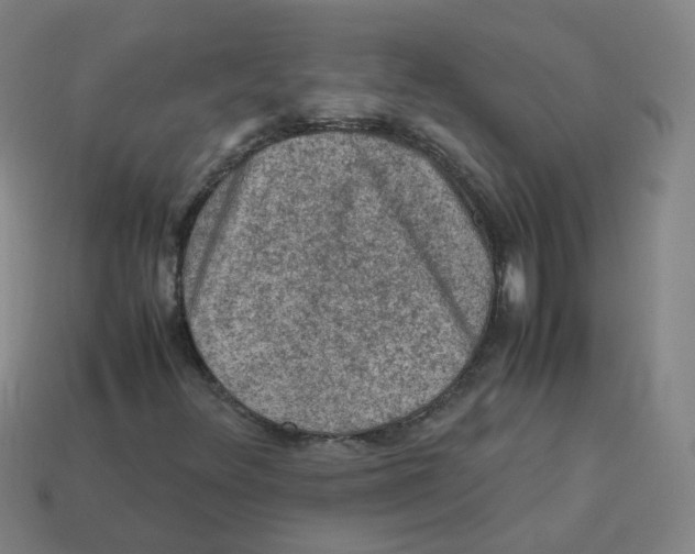 X0000113311348200910131059