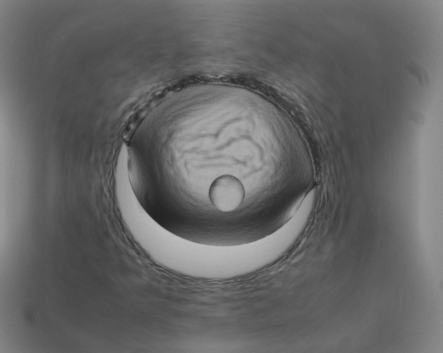 X0000113311349200910131059