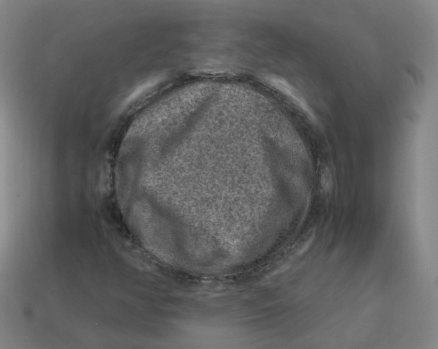 X0000113311350200910131059