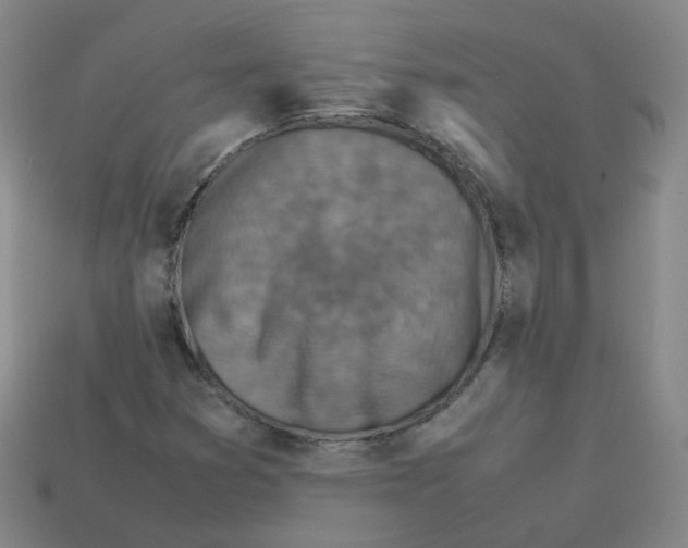 X0000113311353200910131059