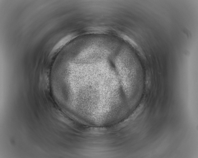 X0000113311354200910131059