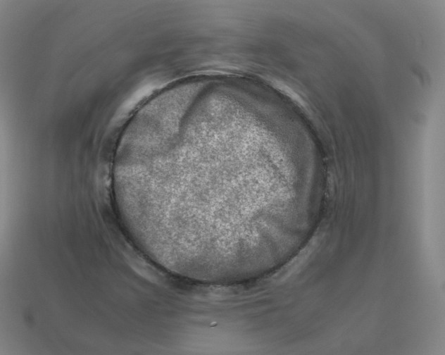 X0000113311355200910131059