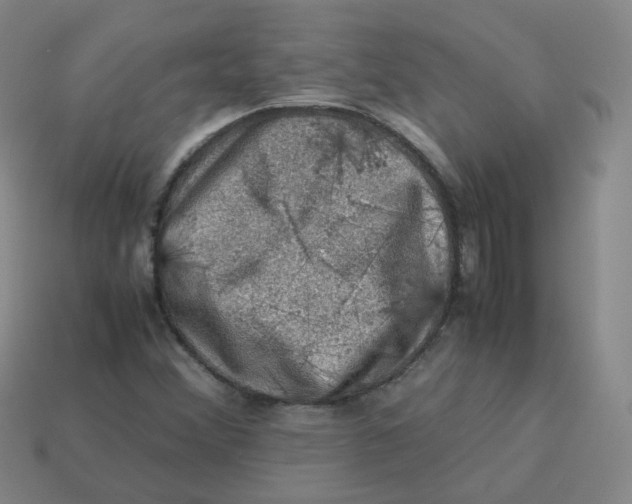 X0000113311356200910131059