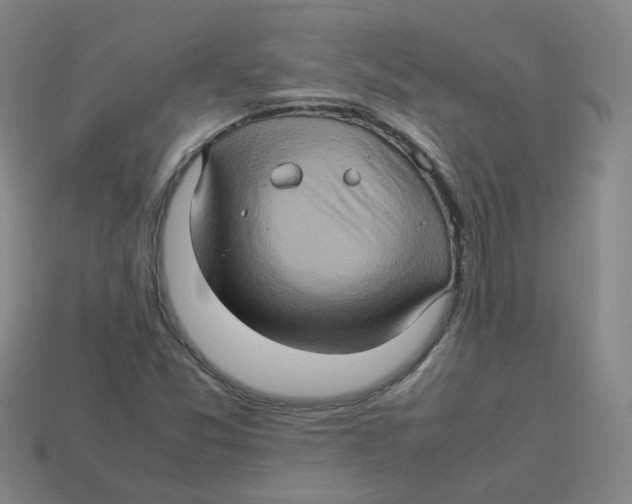 X0000113311357200910131059