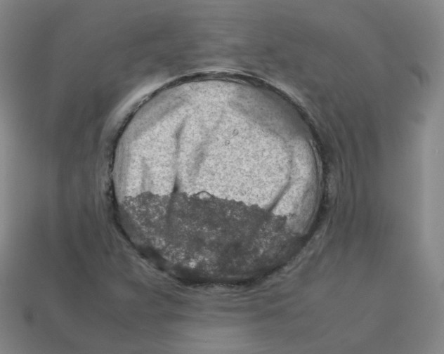 X0000113311359200910131059