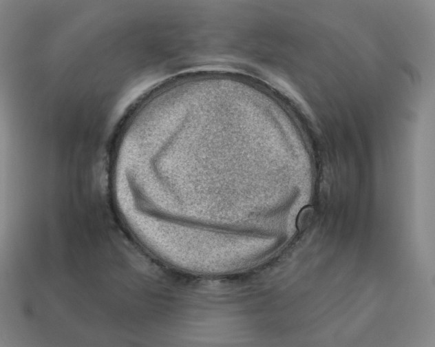 X0000113311360200910131059