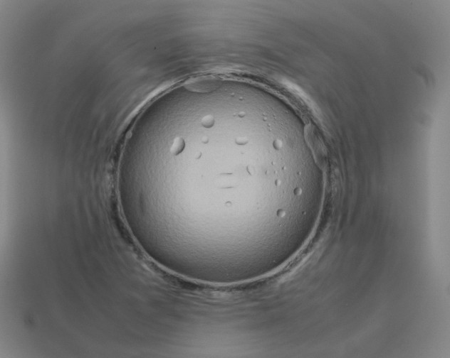 X0000113311361200910131059