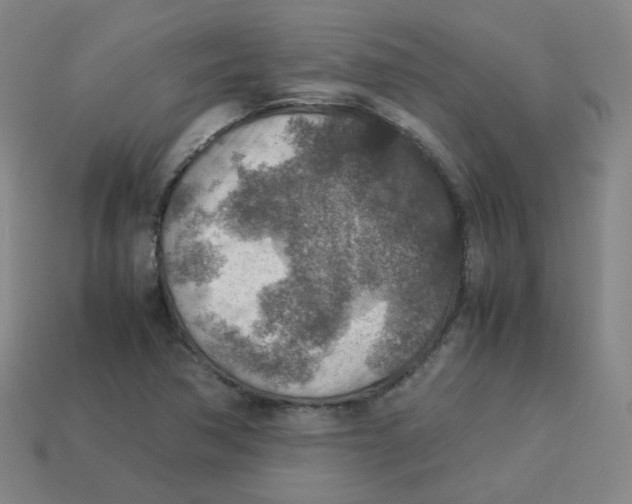 X0000113311362200910131059